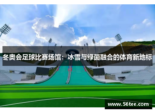 冬奥会足球比赛场馆：冰雪与绿茵融合的体育新地标