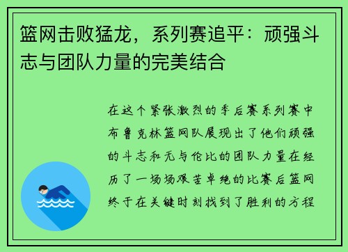 篮网击败猛龙，系列赛追平：顽强斗志与团队力量的完美结合