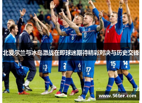 北爱尔兰与冰岛激战在即球迷期待精彩对决与历史交锋