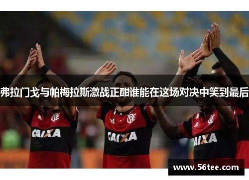 弗拉门戈与帕梅拉斯激战正酣谁能在这场对决中笑到最后